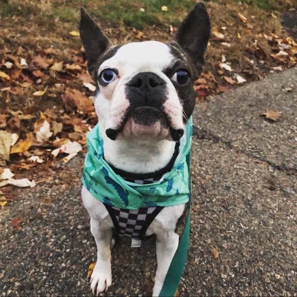 Meet your Posher, Ashley - Picture 1 of 3